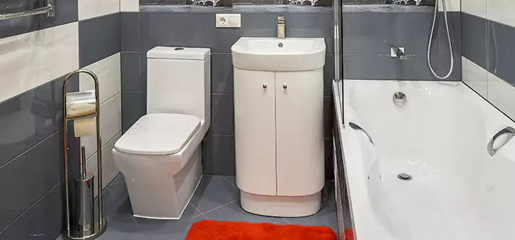 Hansgrohe Shaving Mirror Lindenhurst